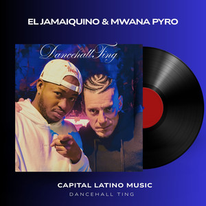 Dancehall Ting (Explicit)