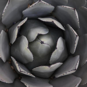 Too Good at Good Byes (Mixtape)