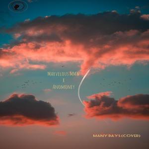 Many Days (Cover)