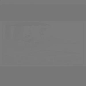 Euphoria (feat. Fiifteen OG) (Explicit)