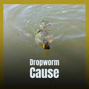 Dropworm Cause