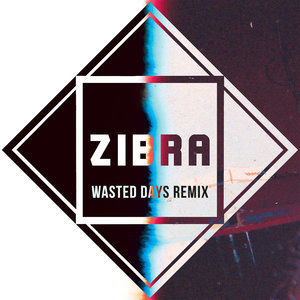 Wasted Days (Special Request Remix)