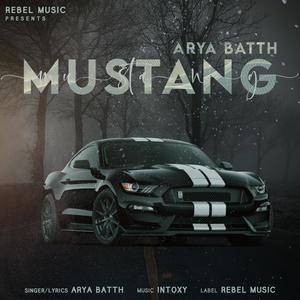 Mustang (feat. Intoxy) [Explicit]