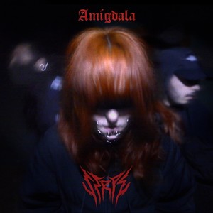 Amígdala