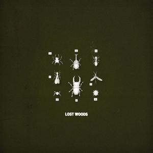 Lost Woods