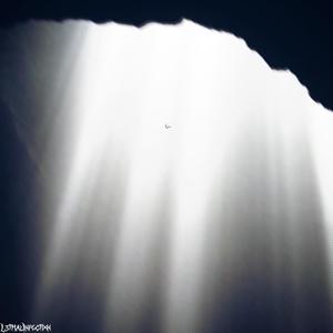 letmefall (feat. childchauncey)