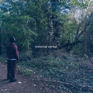 Minimal Verbal