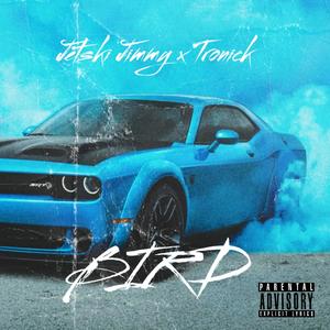 BIRD (feat. Tronick) [Explicit]