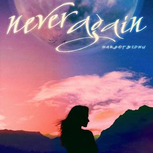 Never Again
