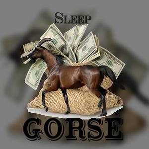 Gorse (Explicit)