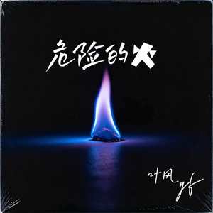 危险的火