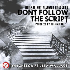 Don't Follow the Script(feat. Liza Wallace)