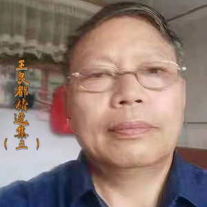 听对岸响数枪声震芦荡