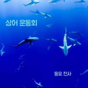 상어 운동회 (Shark Play)