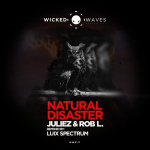 Natural Disaster (Luix Spectrum Remix)