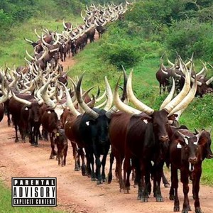 RAISING CATTLE (Explicit)