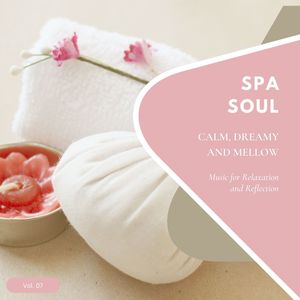 Spa Soul - Calm, Dreamy And Mellow Music For Relaxation And Reflextion, Vol. 07