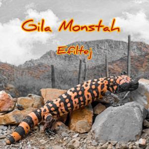 Gila Monstah (Explicit)