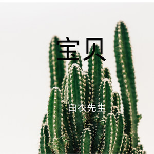 被你伤过的心还能再爱谁