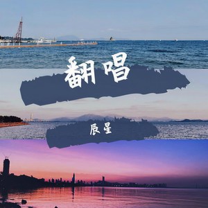 快乐星猫