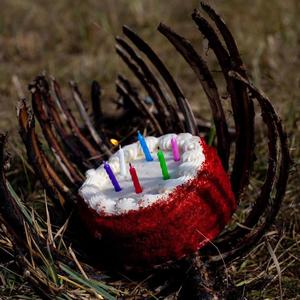 Military Wives of Orange County