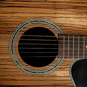 REMNANTS OF A CIVILIZATION