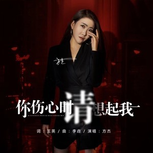 你伤心时请想起我 (伴奏)