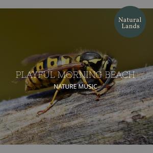 Playful Morning Beach - Nature Music