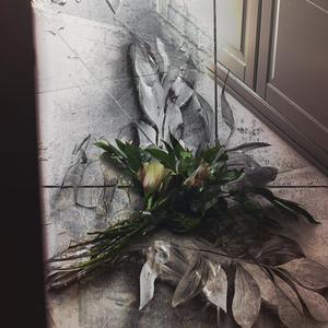 KICKED OUT (Explicit)