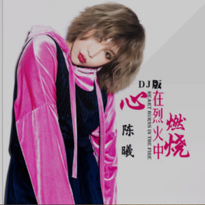 心在烈火中燃烧 (DJ版)