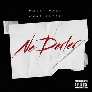 Ne Derler (feat. Amar Alzein) [Explicit]