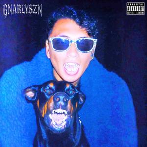 BIG BANK (feat. Havoc Neshh) (Explicit)