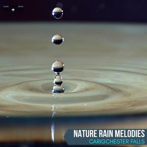 Nature Rain Melodies - Carigchester Falls