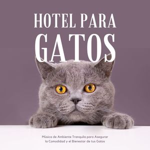 Hotel para Gatos: Música de Ambiente Tranquila para Asegurar la Comodidad y el Bienestar de tus Gatos