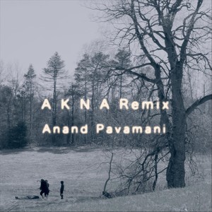 AKNA (Remix)