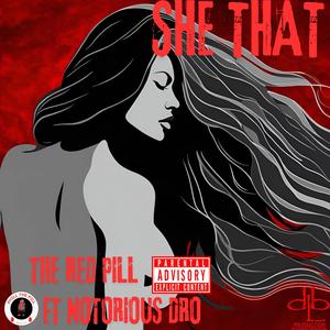 SHE THAT (BAD *****) (feat. NOTORIOUS DRO) (Explicit)