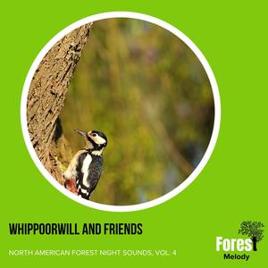 Whippoorwill and Friends - North American Forest Night Sounds, Vol. 4