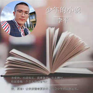 少年的小说