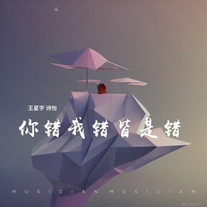 王星宇 - 你错我错皆是错