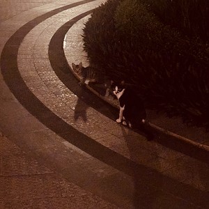 i knew you were never in love!!