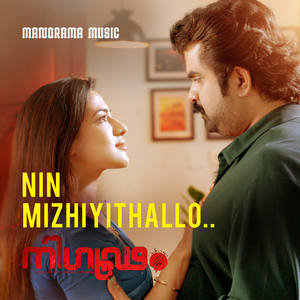 Ninmizhiyithalo (From Nigoodam)