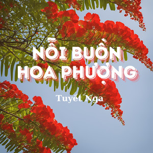 Nỗi Buồn Hoa Phượng