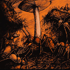 Ugly Ants (Explicit)