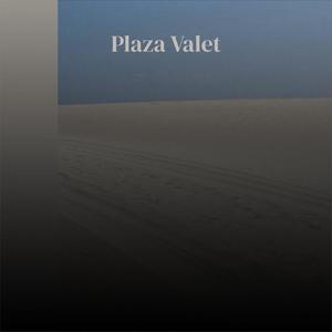 Plaza Valet
