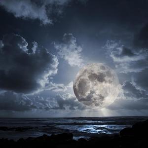 I SEE A NEW MOON IN YOUR EYES(feat. SOLAYMAN HARRAB, ADIL MARAKCHI & ISSAM EL OTHMANI)