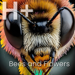 Bees and Flowers