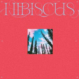 Hibiscus (Explicit)