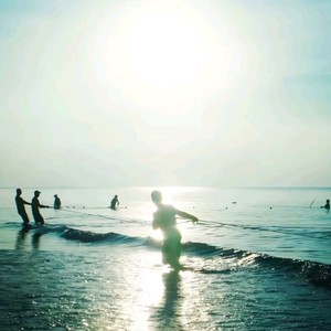 混过社会卖过萌