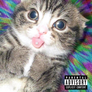 Dirty Hoe (Explicit)