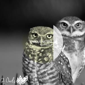 True Emotion (Original Mix)